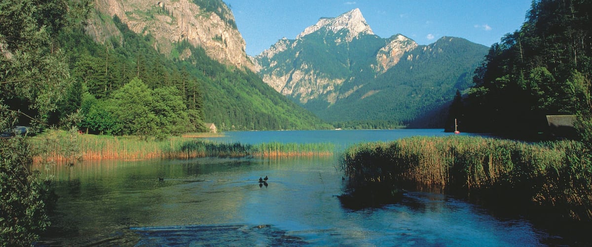 A lake surrounded by mountains and dense forests.