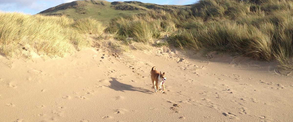 #beach #tywyn #wales