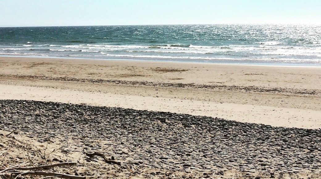 Such a beautiful beach