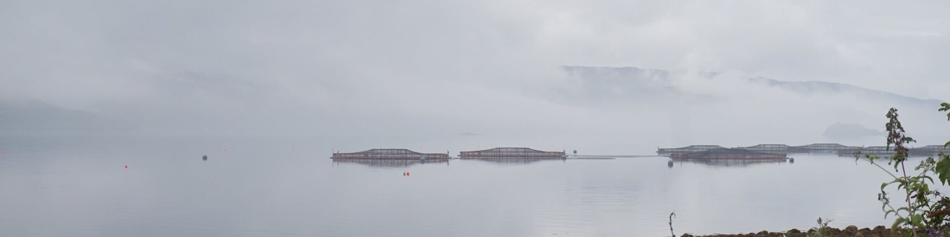 Salmon farming tanks submerged in the loch at first light