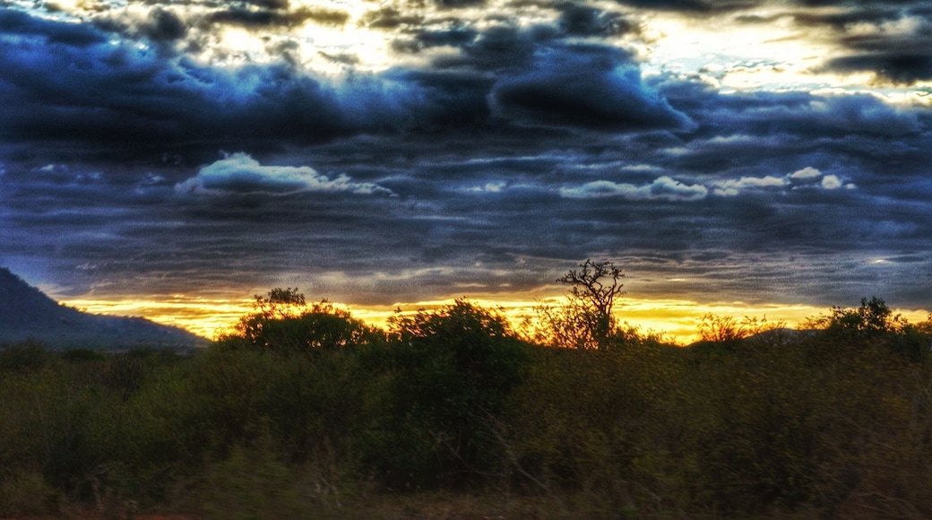 Dusk at Tsavo east , Kenya