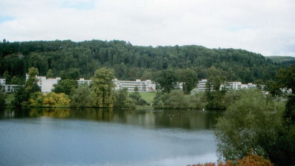 A lake surrounded by trees and buildings.