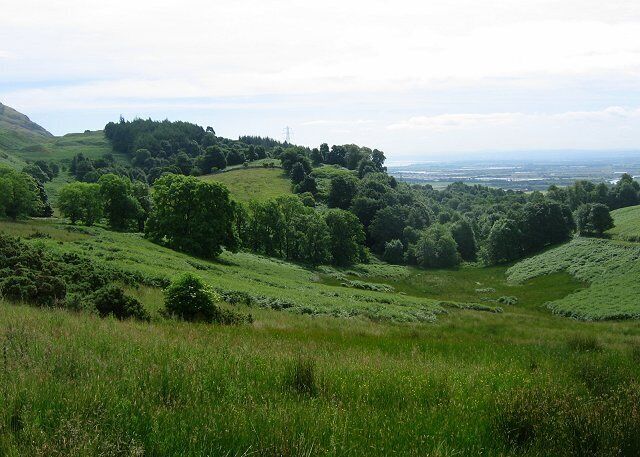 Logie Burn. Looking down the Logie Burn's glen towards the flatlands and meanders of the River Forth. The lurid greens are typical of wet pasture on basalt hills in high Summer.