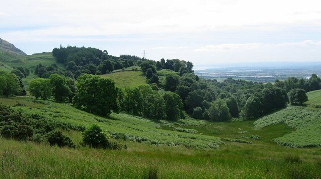 Logie Burn. Looking down the Logie Burn's glen towards the flatlands and meanders of the River Forth. The lurid greens are typical of wet pasture on basalt hills in high Summer.