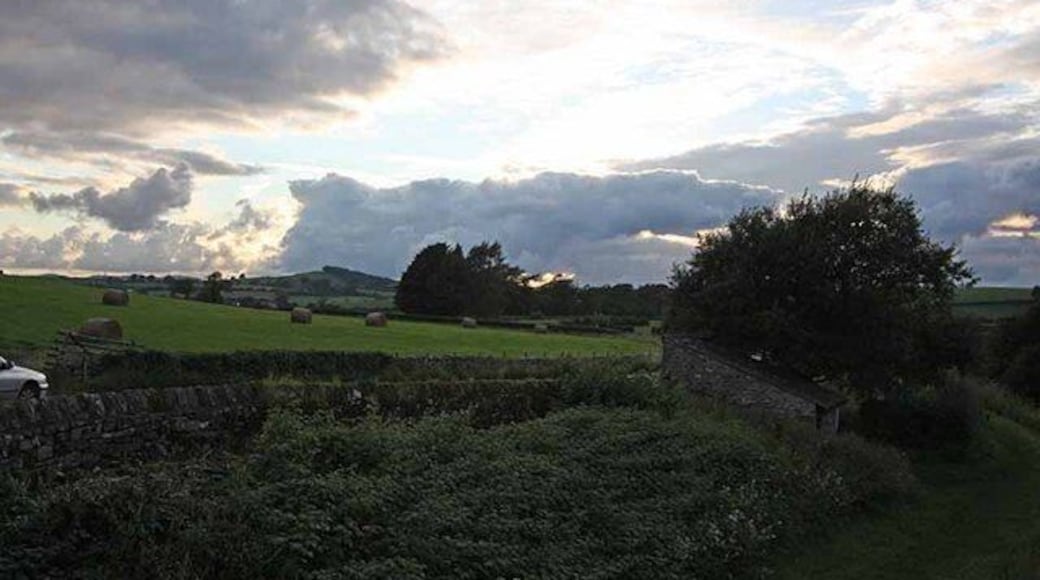 A rural landscape with a stone wall, green fields, and a large tree.