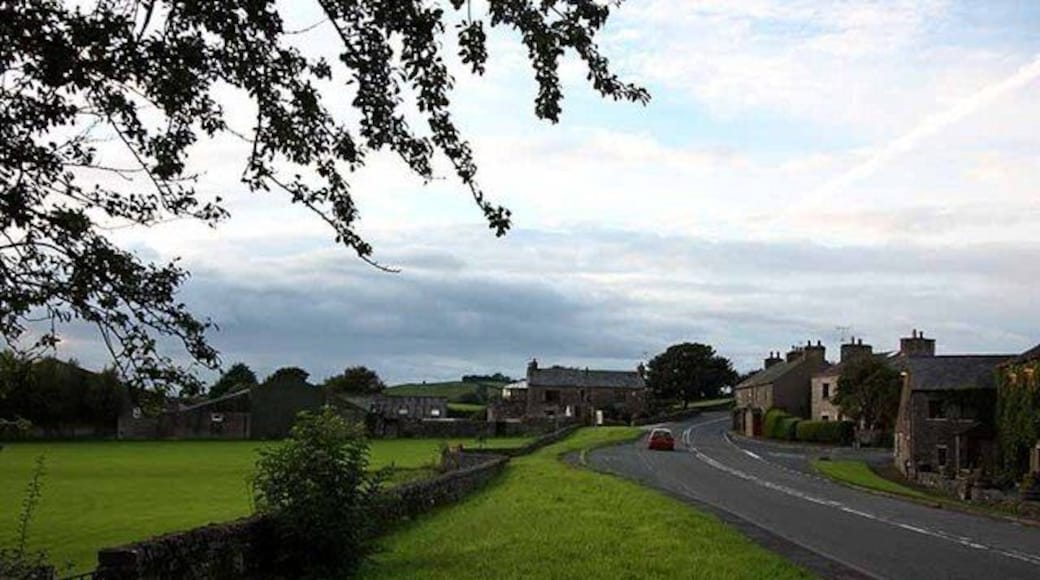 A rural road with houses on one side and a grassy field on the other.