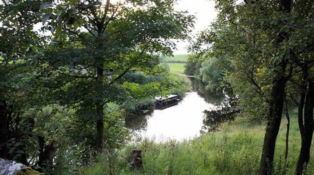 A river flowing through a wooded area with trees and a stone wall.