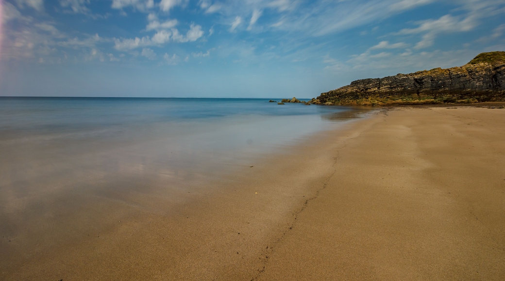 Goat Island Ballinamona Irland Küste Strand Meer