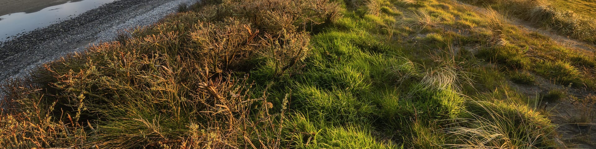 View of the Mourne Mountains and the sandy coastline with grassy dunes at sunset in Newcastle, Northern Ireland, United Kingdom.
