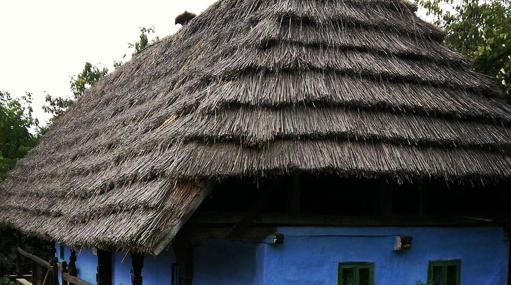 Beautiful small cob house at the ethnographic museum in #baiamare #folk #art #traditional #maramuresplaicuflori #maramures #romania