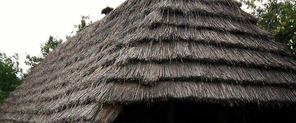 Beautiful small cob house at the ethnographic museum in #baiamare #folk #art #traditional #maramuresplaicuflori #maramures #romania
