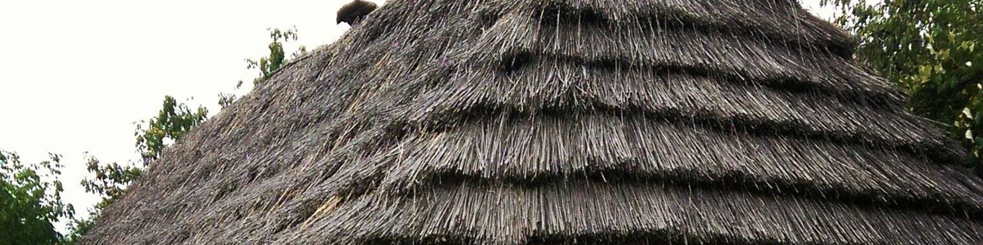 Beautiful small cob house at the ethnographic museum in #baiamare #folk #art #traditional #maramuresplaicuflori #maramures #romania