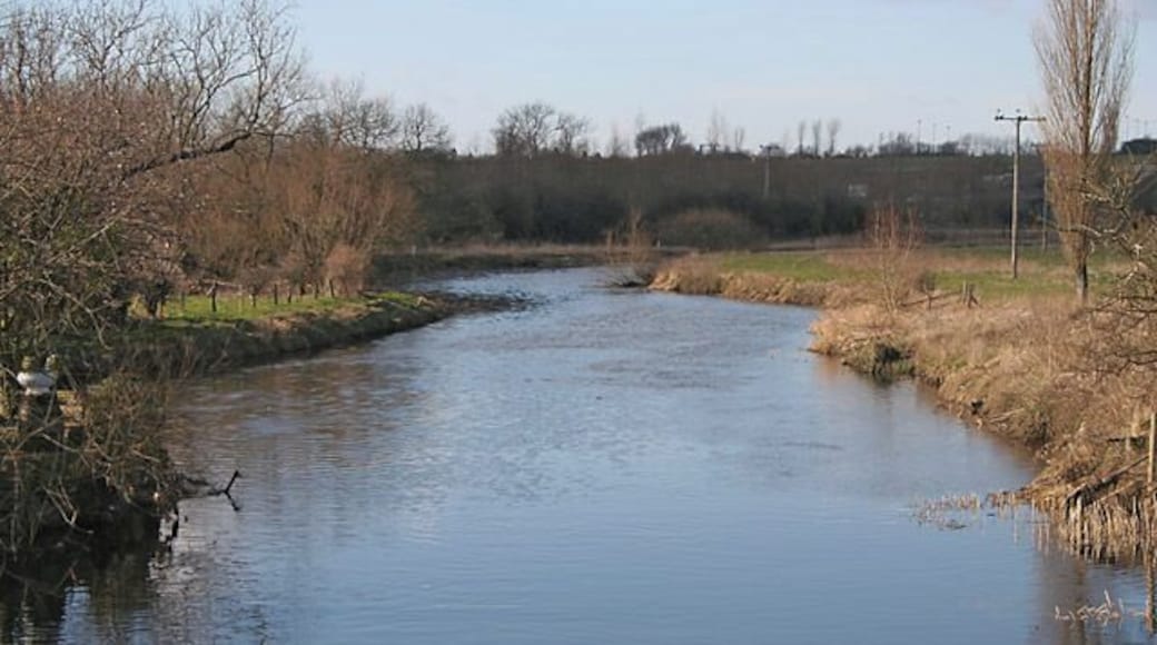 River Soar at Cossington Meadows. Looking NE towards the high ground and the A6 which is hidden amongst the trees.