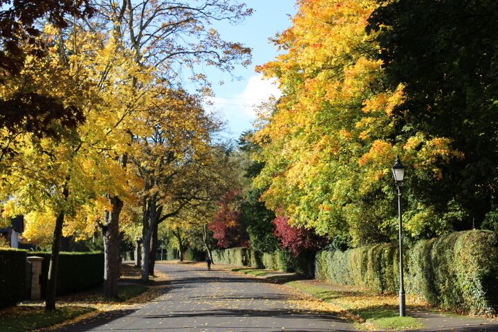 Rothley, UK