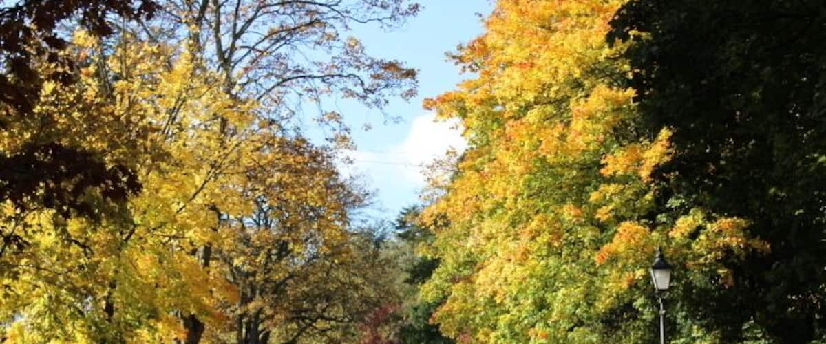 Rothley, UK