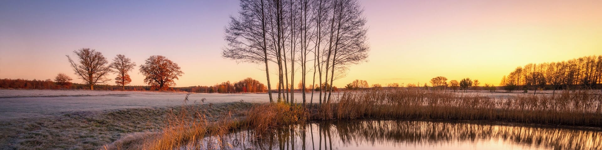 Found this pretty neat composition this morning when I checked out a random golf course not far from where I live in Stockholm. Not much to say about it really but I thought it'd be fun to share it with you guys. Love these cold and frosty autumn sunrises.