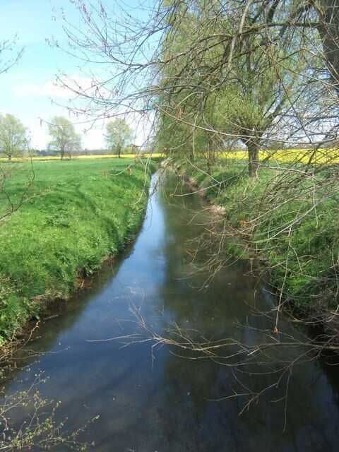 Hammer Stream from Buckhurst Bridge near Frittenden.