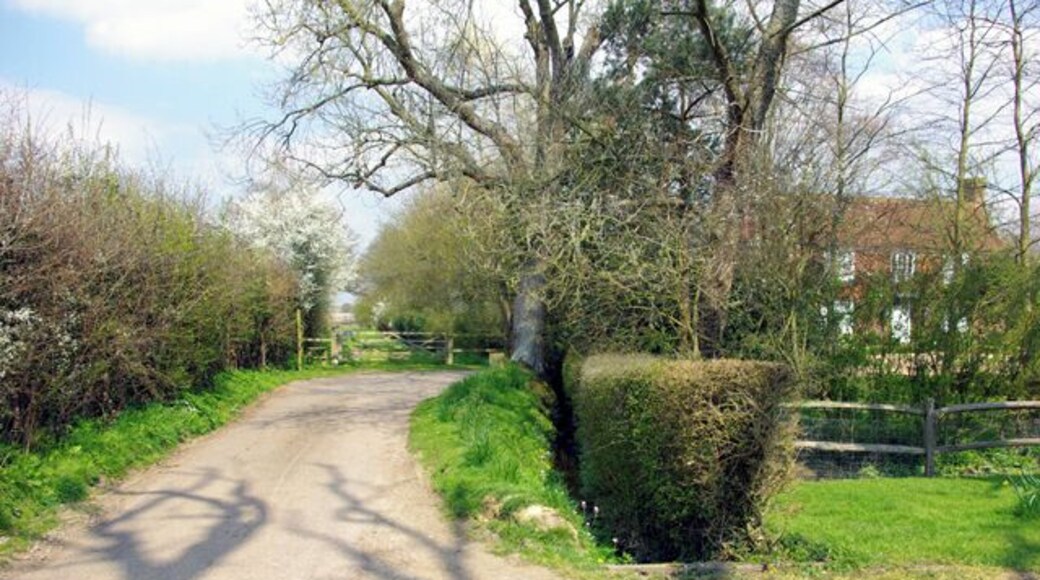 The end of Bubhurst Lane Great Bubhurst Farm hides behind the trees.