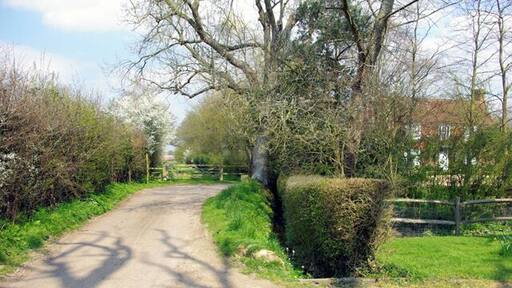 The end of Bubhurst Lane Great Bubhurst Farm hides behind the trees.