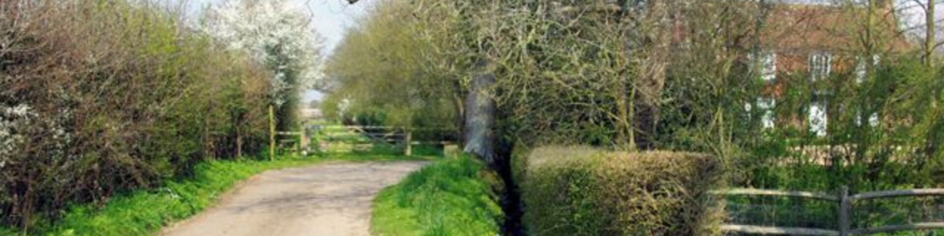 The end of Bubhurst Lane Great Bubhurst Farm hides behind the trees.
