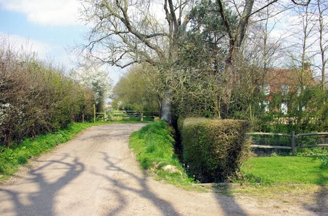 A narrow rural road flanked by trees and bushes, leading towards a residential area.