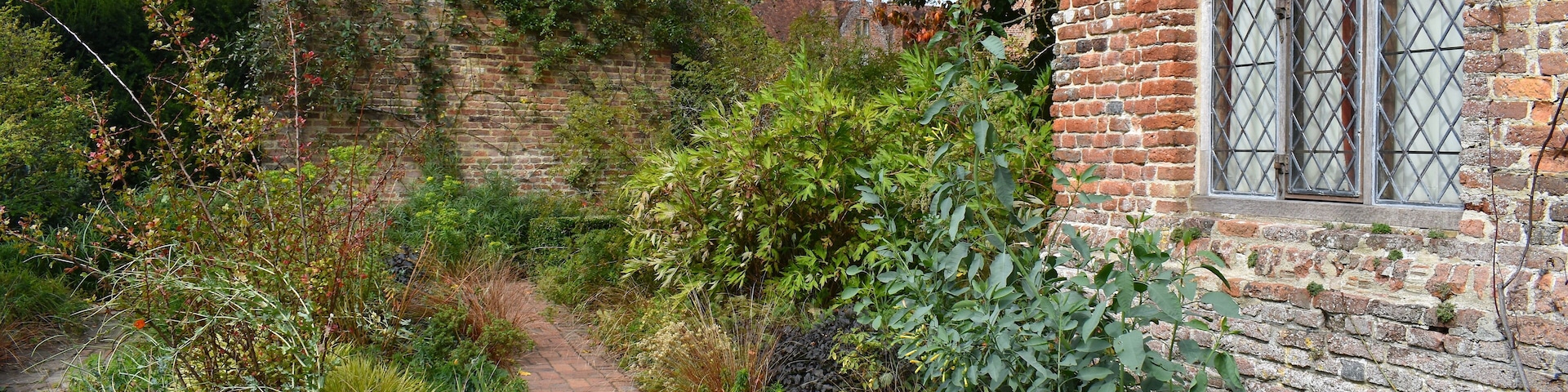 Uma trilha de tijolos ladeada por vegetação exuberante e um edifício de tijolos com uma janela.