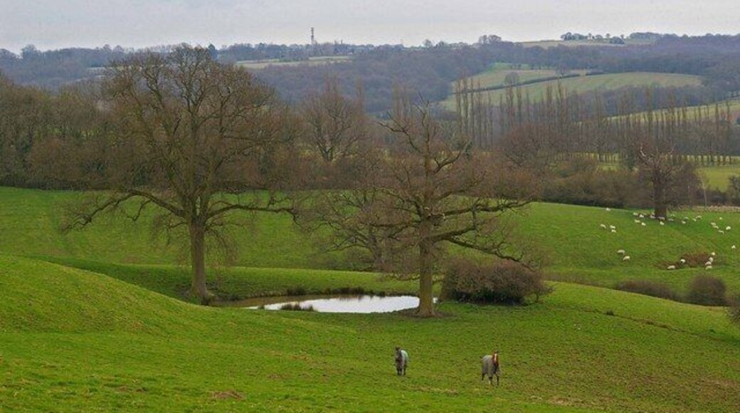 Goudhurst Pasture. This shot was taken from 731597 and shows the pasture of Triggs Farm