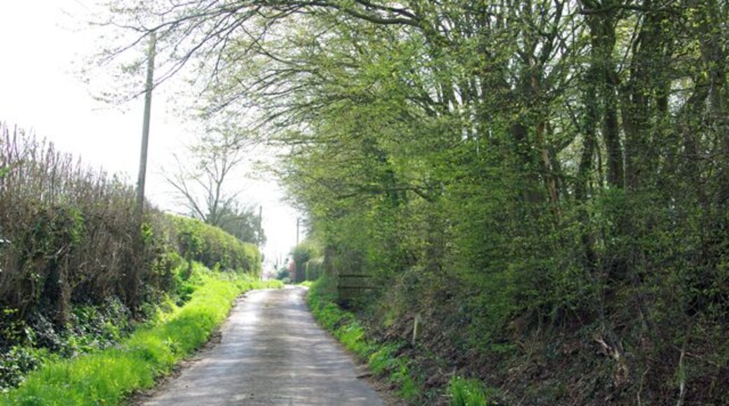 Bubhurst Lane Some nice houses are spaced out along this lane.