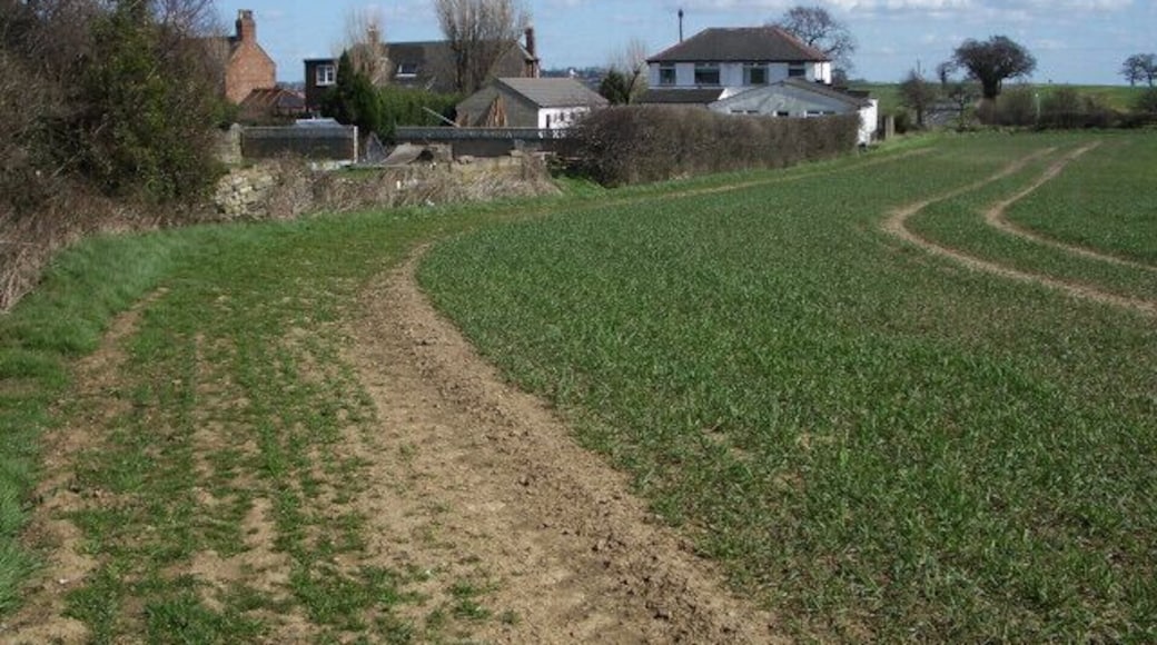 Footpath at Swillington Common Looking east along the field edge to the gate from the lane