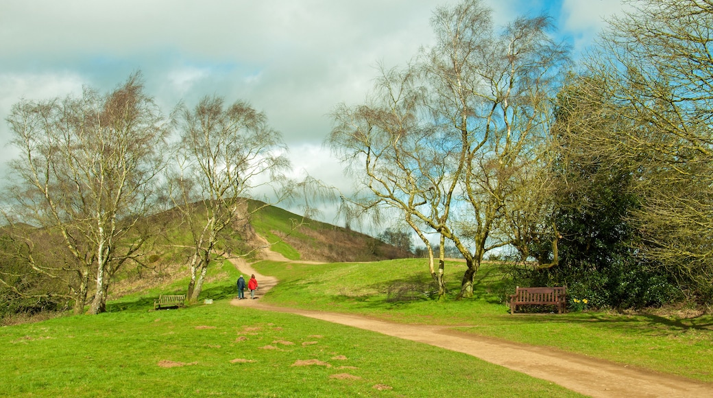 Springtime landscape in the Malvern hills
