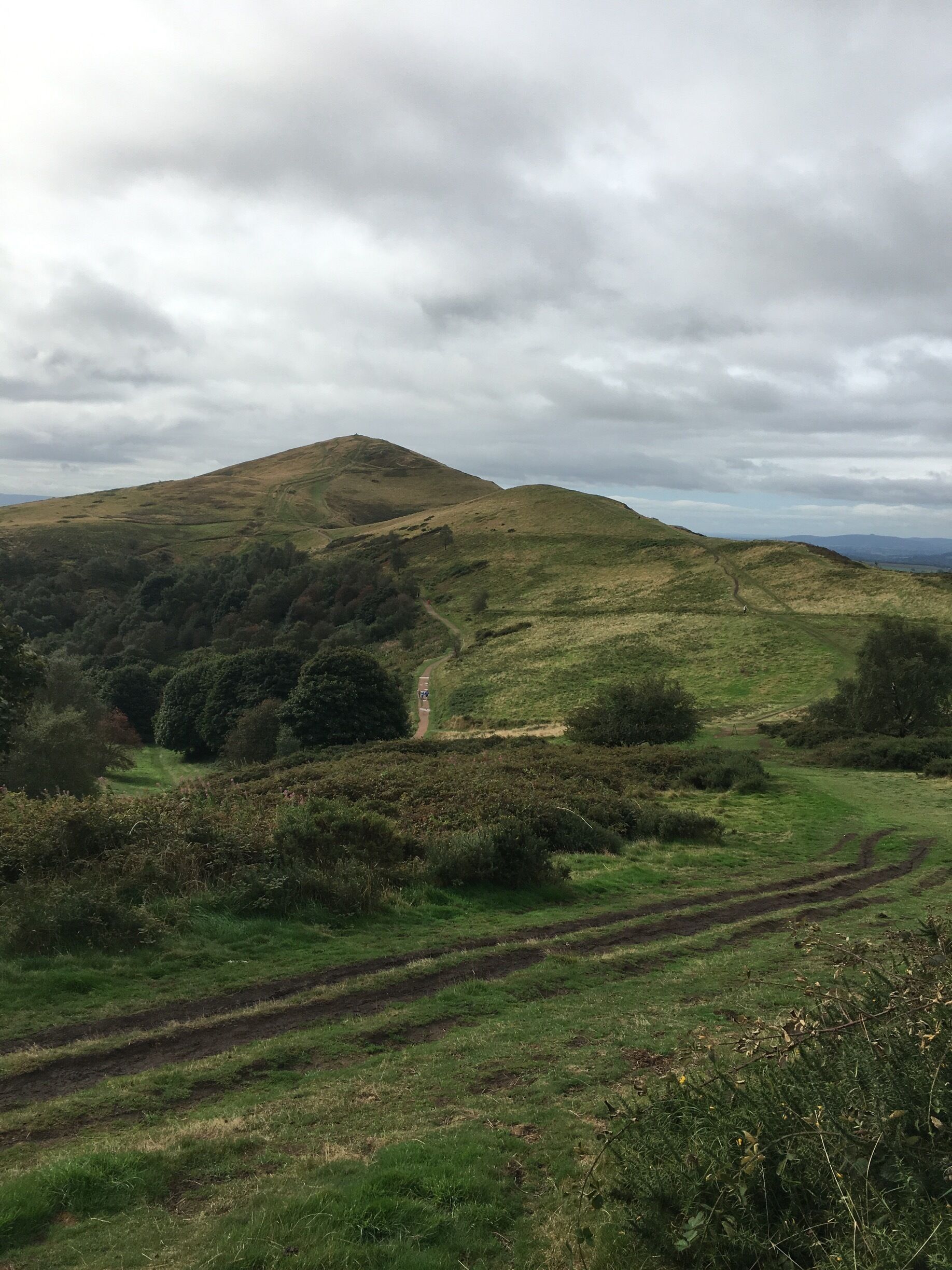 Can be a bit congested with dog walkers and the like.
#MalvernHills
#Worcestershire
#3Counties
