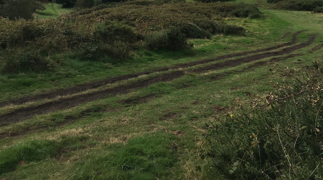 Can be a bit congested with dog walkers and the like.
#MalvernHills
#Worcestershire
#3Counties