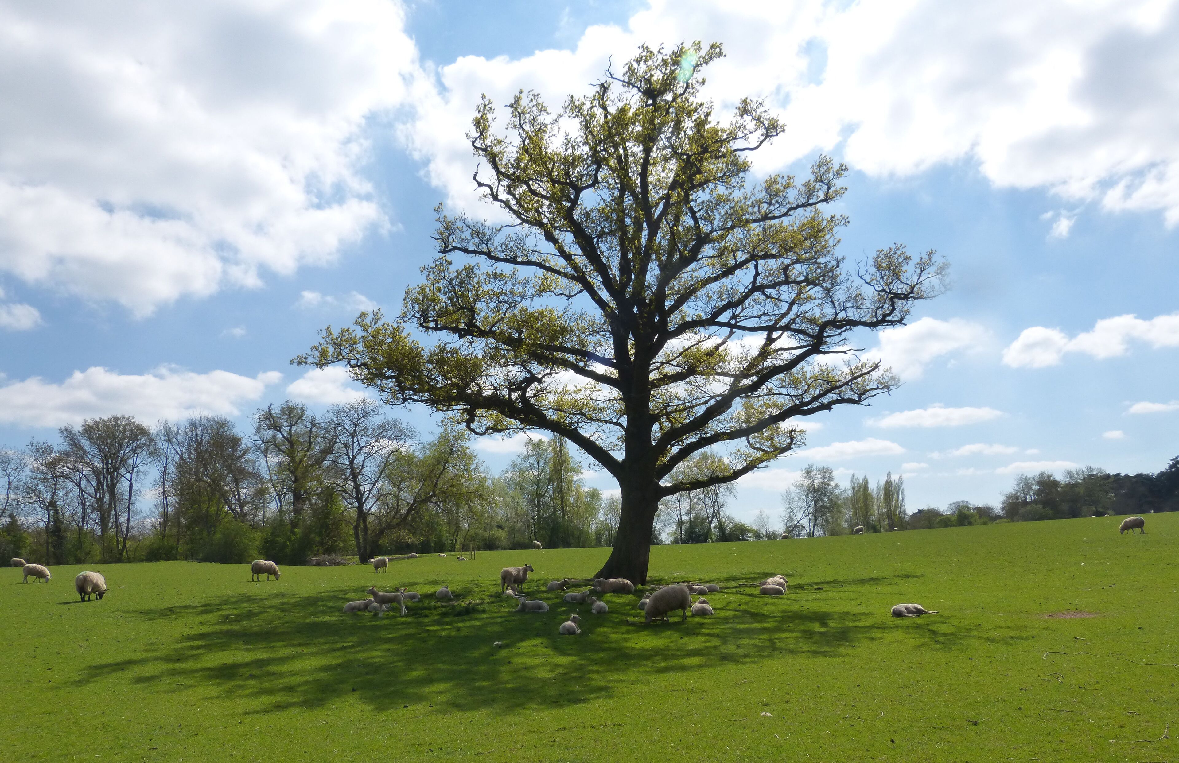 Another Beautiful Spring Day