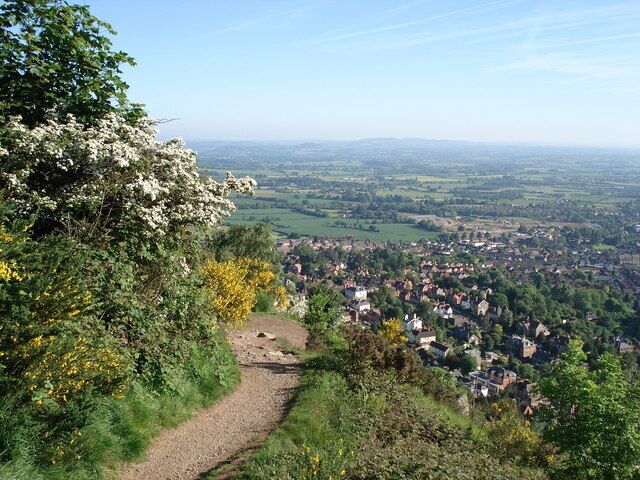 A hiking trail surrounded by lush greenery and a view of a town below.