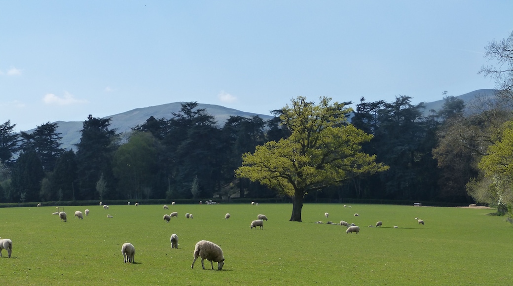Madresfield Estate looking towards Malverns