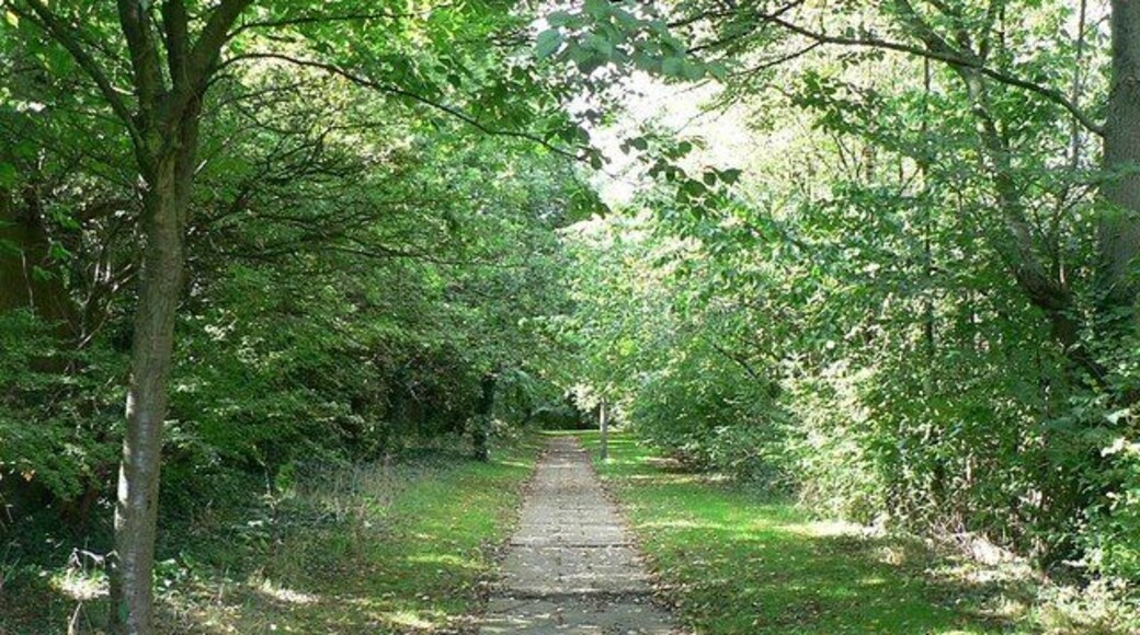 Path beside Halesfield 16 But hidden from the road on the right and factories on the left by the belts of trees and bushes.