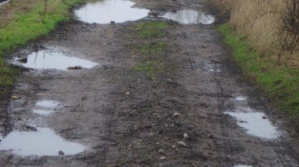 Duke's Drive Cutting across Wrockwardine Moor a very muddy track full of pot holes.