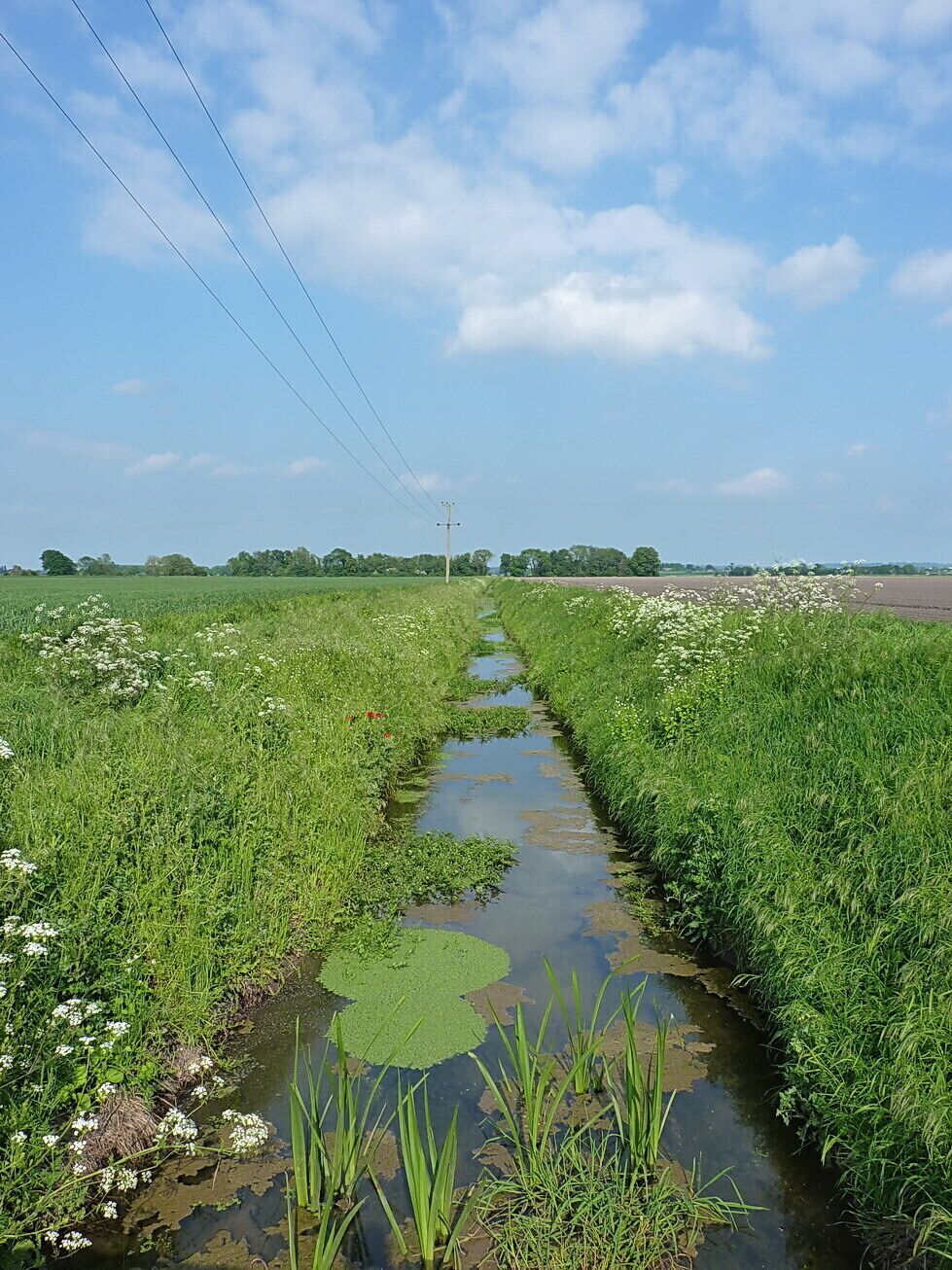 A drain on Eyton Moor