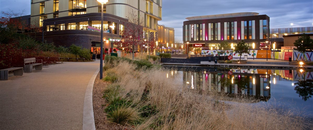Telford featuring a pond, a park and night scenes