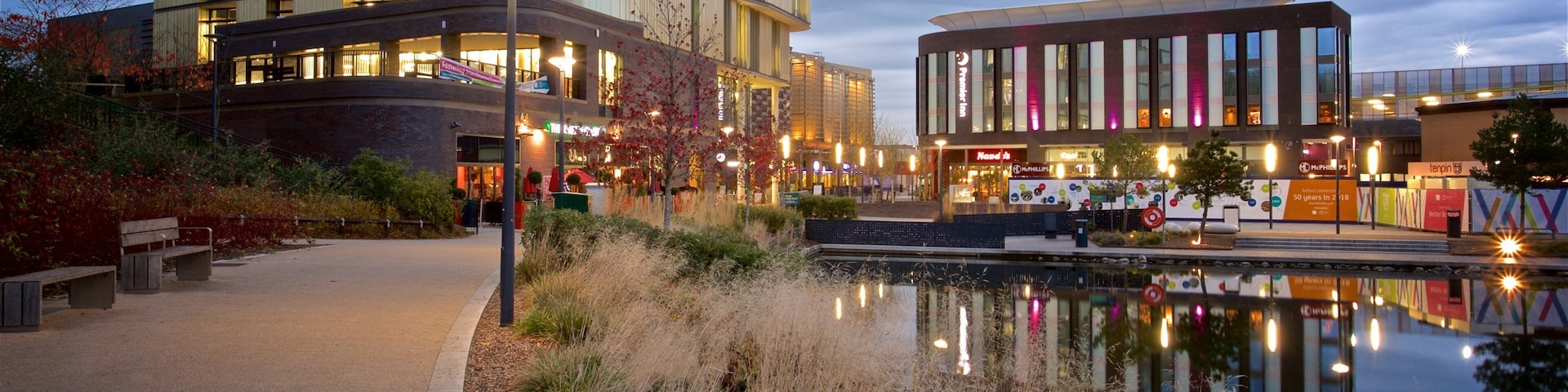 Telford showing night scenes, a garden and a pond