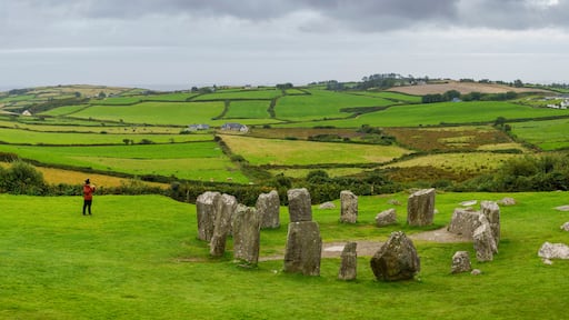 ๋ก์ค์ปค๋ฒ ๋ฆฌ