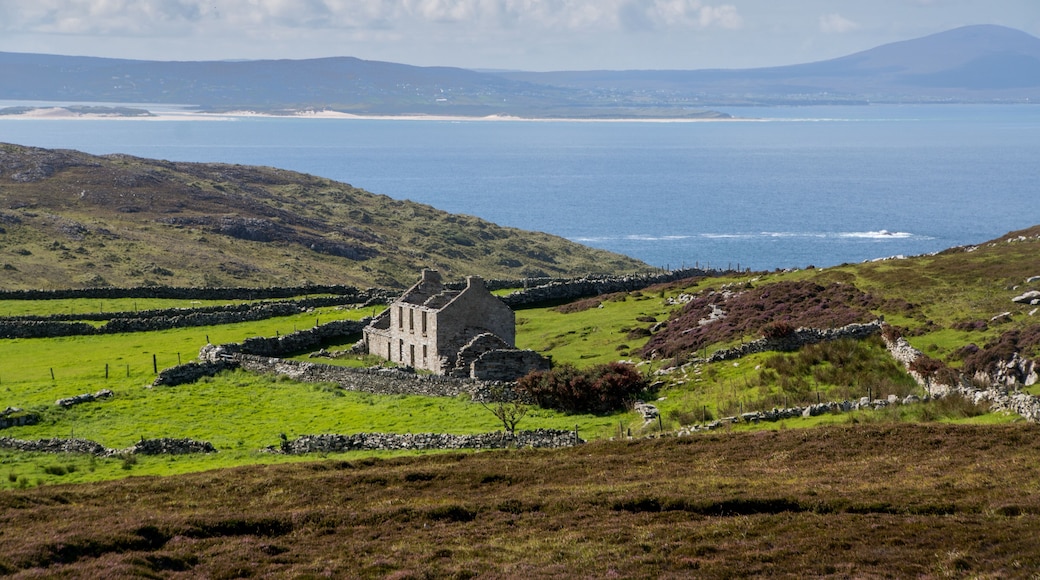 Nordirland Küste / Horn Head / N56 / Halbinsel in Nordirland