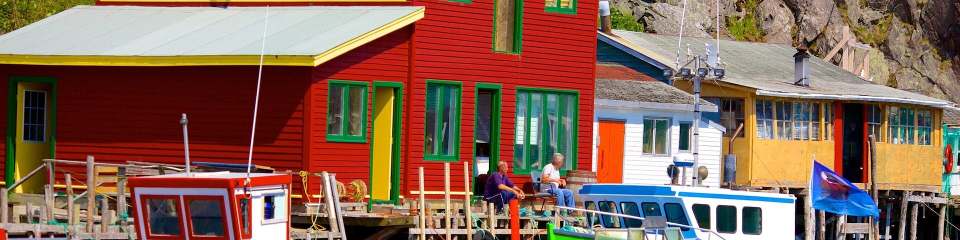 Quidi Vidi which includes boating and a marina