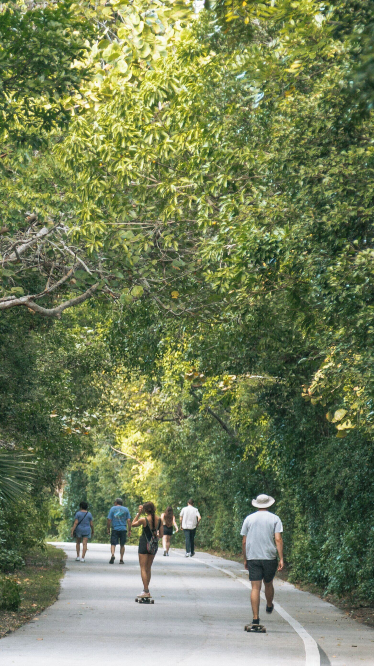 Exploring the scenic trails of Hugh Taylor Birch State Park in East Fort Lauderdale, Florida, showcasing visitors enjoying nature-filled pathways