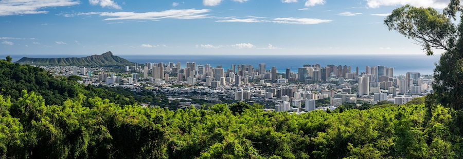 A cityscape with a prominent mountain in the background and dense greenery in the foreground.