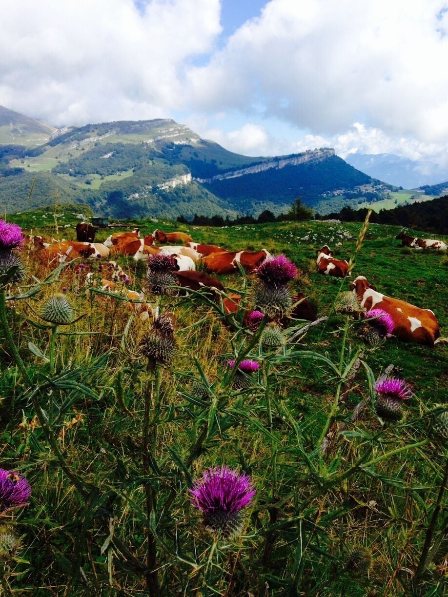 September holiday on monte baldo