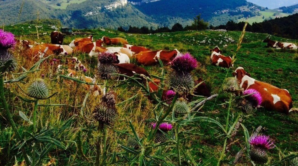 September holiday on monte baldo