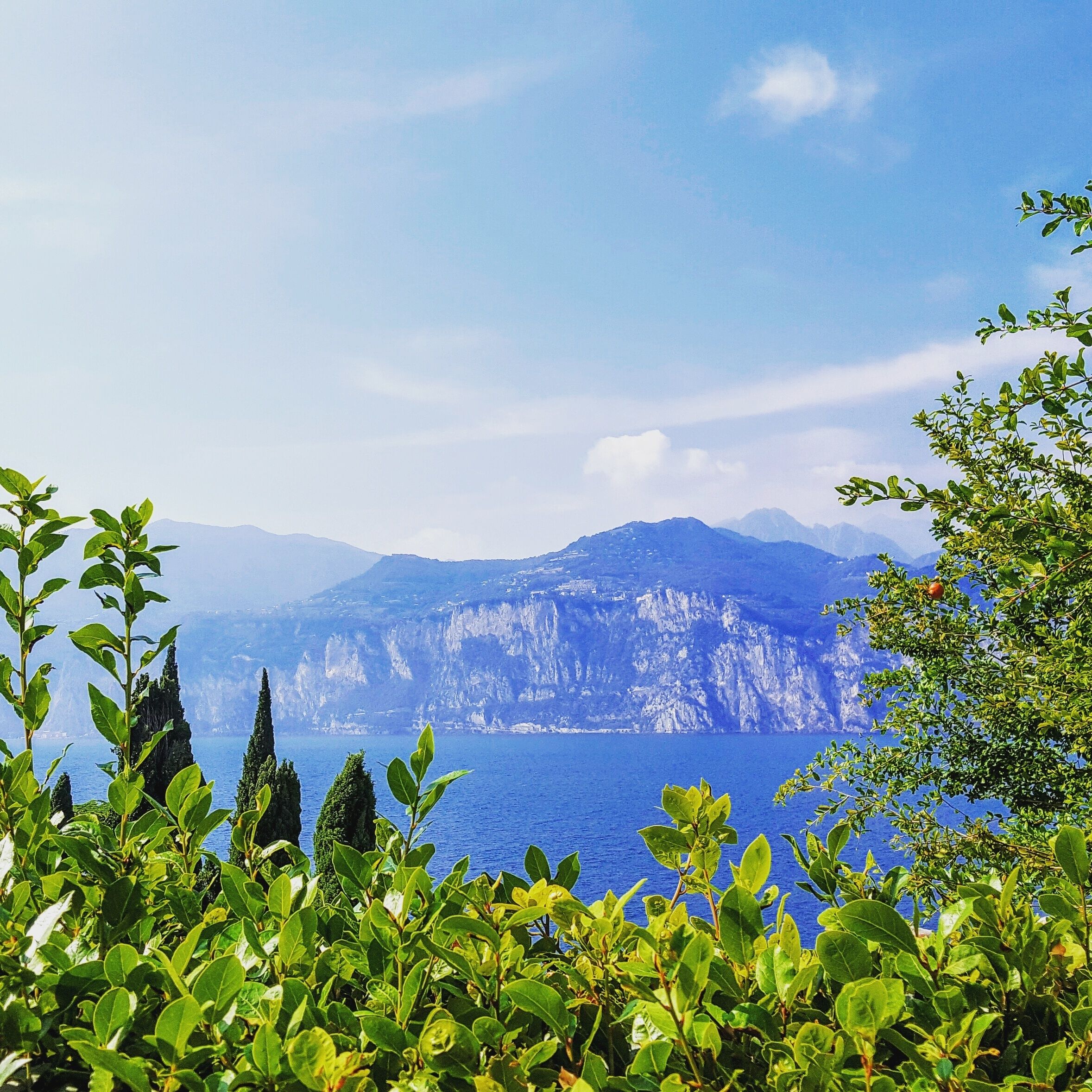 A coastal landscape with a clear view of a mountain range and the sea.