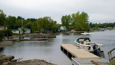 Rockwood showing boating, a pebble beach and general coastal views