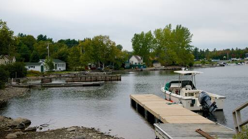 Rockwood which includes a pebble beach, general coastal views and boating